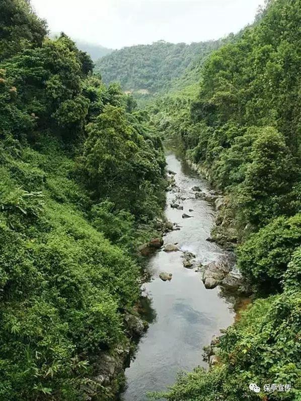活力跳跳